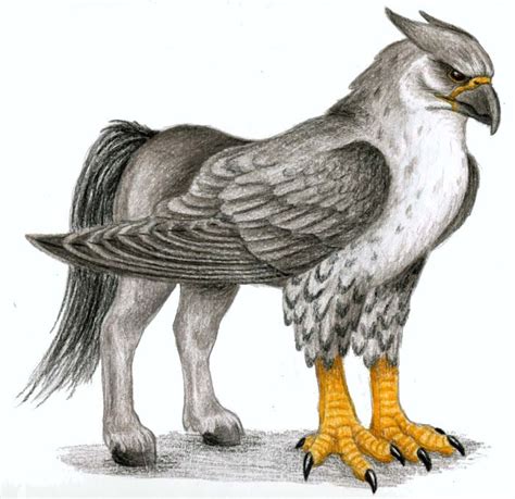 Mythological Dictionary Hippogriff