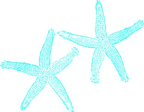 Turquoise Starfish Clipart Clip Art Library