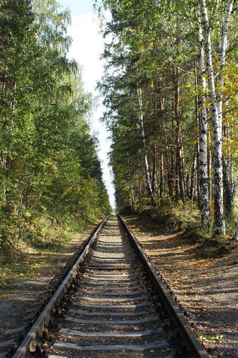 Railway Landscape The Old Railway In Autumn Forest Single Track