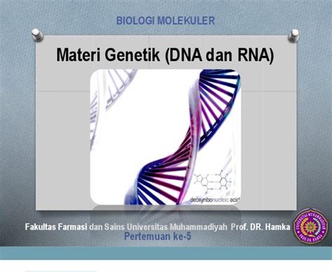 Struktur nukleotida dan nukleosida dapat dilihat pada gambar di bawah ini. Perbedaan Dna Dan Rna Berdasarkan Gugusan Gula Dan Basa ...