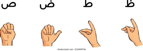 Arabic Sign Language Hands Vector Cartoon Stock Vector Royalty Free