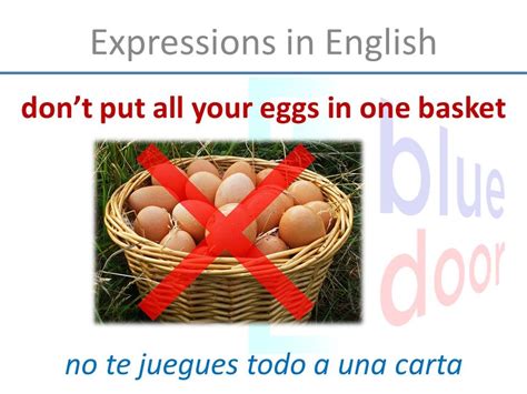 Another example of putting all your eggs in one basket is maintaining a friendship with only one person. Don't put all your eggs in one basket - Academia Blue Door