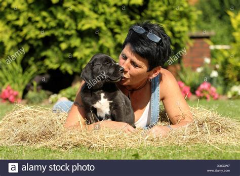 Puppies Kissing Stock Photos And Puppies Kissing Stock Images Alamy