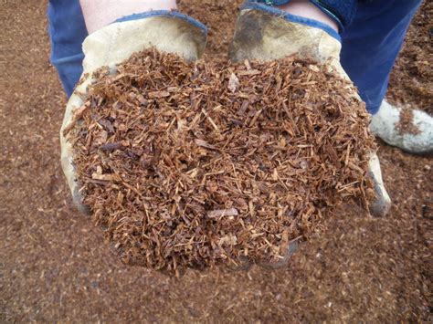 Reduce water loss from soil. Mulch Delivery Perth | Garden mulch, Tree mulch, Vegetable ...