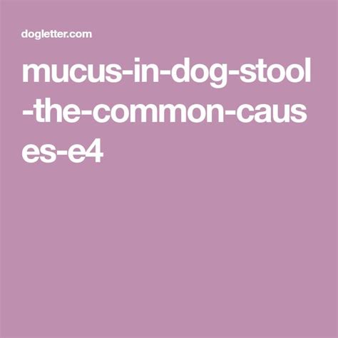 Mucus In Dog Stool The Common Causes E4 Mucus Dogs Stool