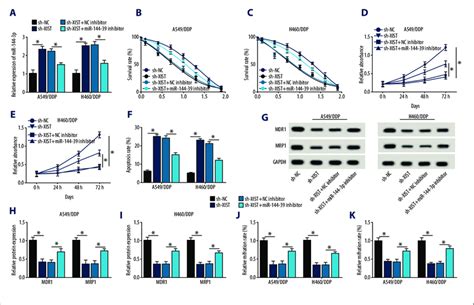 decreased mir 144 3p reduced chemosensitivity to ddp induced by download scientific diagram