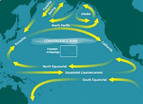 Was Ist Der Great Pacific Garbage Patch Worldatlas