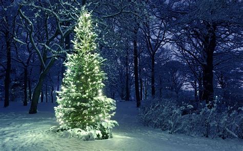 Christmas Tree Landscape Wallpapers Wallpaper Cave