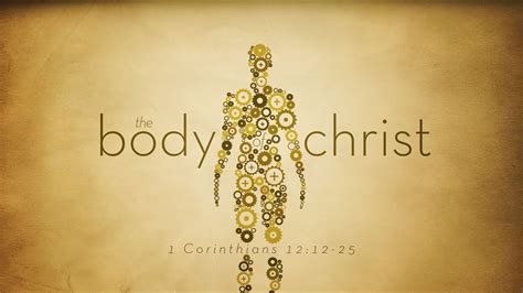 The Body Of Christ 1 Corinthians 1212 25 1 Corinthians 1212 25