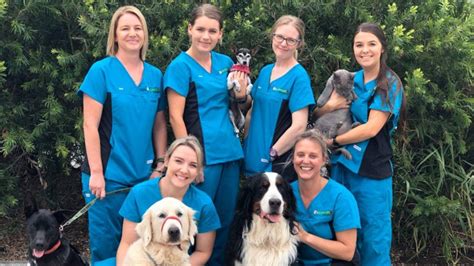 Find opening & closing hours for the nearest pet training and other contact details such as address, phone number, website. Flinders View Veterinary Surgery, Flinders View, 4305 ...