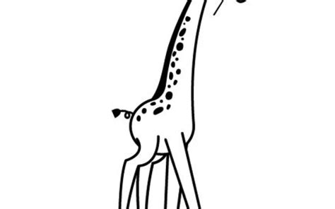 Coloriages Animaux Sauvages La Girafe