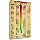 Amazon Com ICRAEZY Scoville Scale Pepper Typc Heat Units Metal Tin Sign X Inch Bar Cafe