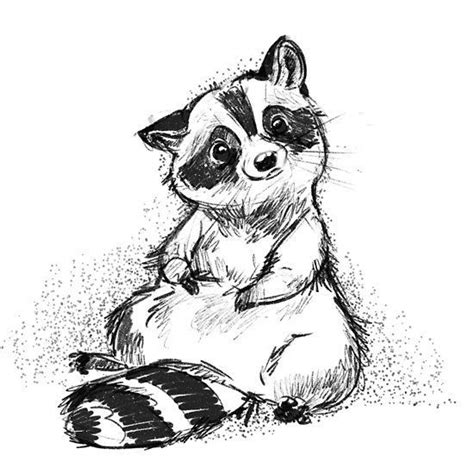 Thoughtful Raccoon Par Critterpark In 2020 Raccoon Illustration