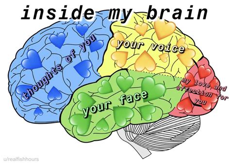 Inside My Brain