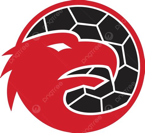 elang bola