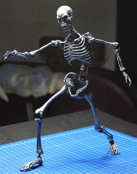 Action Figure Skeleton By Fattel 16 Scale Human Skeleton