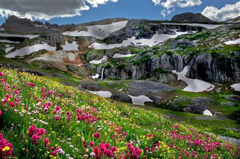 Mountains Meadow Flowers Phone Wallpapers
