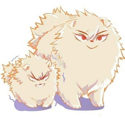 Bakugou Angry Pomeranian Anime Anime Pomeranian Tumblr Pin By Pia