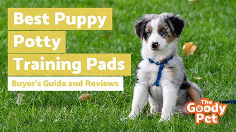 We approach your pet with love and care, and consider all its. 7 Puppy Potty Training Pads (February 2020) | TheGoodyPet