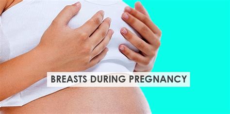 Breast Images During Pregnancy