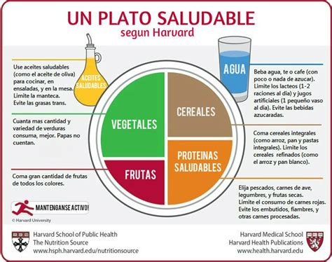 El plato para comer saludable Alimentación y mucho más