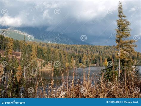 Nature Mountain Scene With Beautiful Lake In Slovakia Tatra Strbske