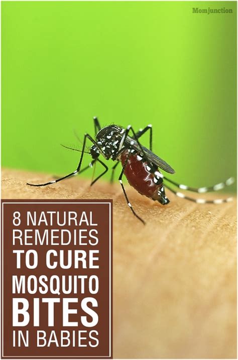 Mosquito Bites In Babies Symptoms Home Remedies And Prevention