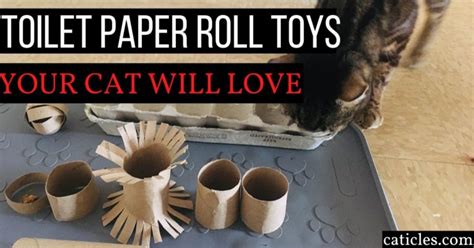 13 Simple Diy Toilet Paper Roll Toys For Cats Caticles