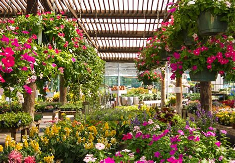 I love to write articles which would simplify people's life.i go crazy when it rains and find fun in getting drenced. Garden Center Or Nursery Near Me