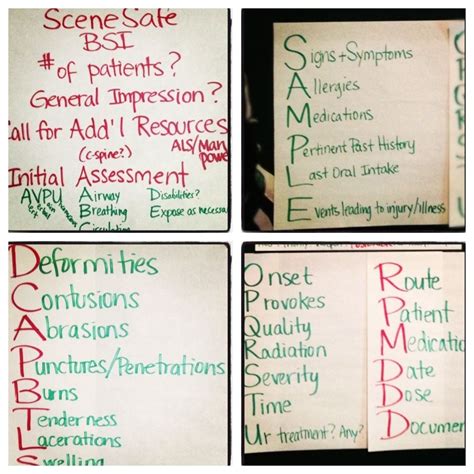 E/m content standards and documentation criteria …. Pin by Chelsea Bhargava on EMS | Emt study, Emt basic, Emt ...