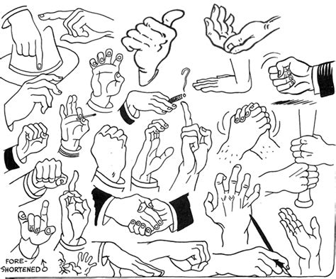 Learn How To Draw Hands With Drawing Lesson And Hands Positions Reference