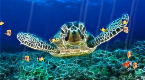49 Animated Ocean Desktop Wallpapers Wallpapersafari
