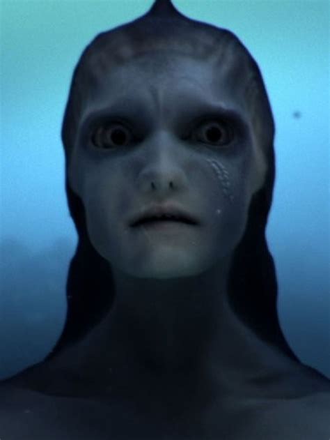 Are Mermaids Real Mermaids The New Evidence Sparks Age Old Question With New Footage [video