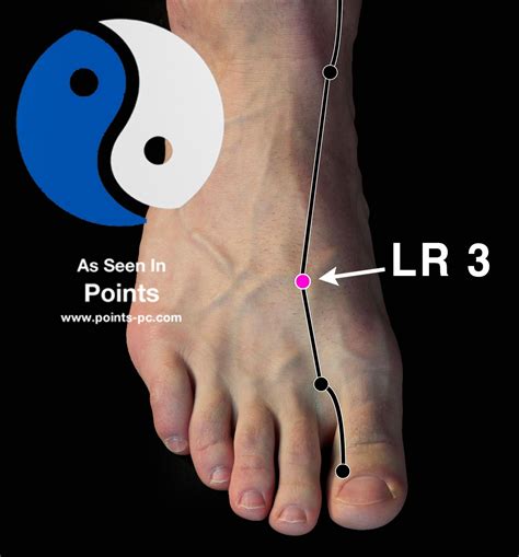 Acupuncture Point Liver 3 Acupuncture Technology News