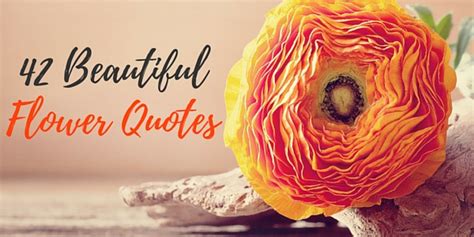 Take sheryl crow's words, for instance: 42 Beautiful Flower Quotes - Word Porn Quotes, Love Quotes ...