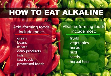 What is an alkaline diet? Alkaline Body and Cancer- Can Alkaline Diet Treat Cancer ...