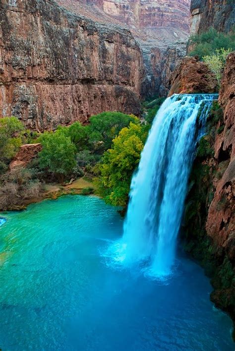 Havasu Falls Havasu Falls Arizona Places To Visit Places To Travel