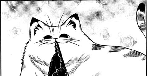 Share 74 Anime White Cat Best Incdgdbentre