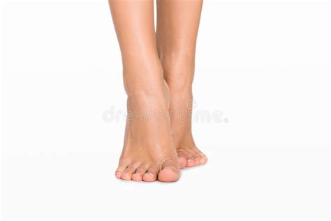beautiful women`s feet isolated on white background stock image image of beauty medical
