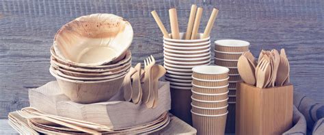 Sustainable Alternatives To Single Use Plastic Ecosistant