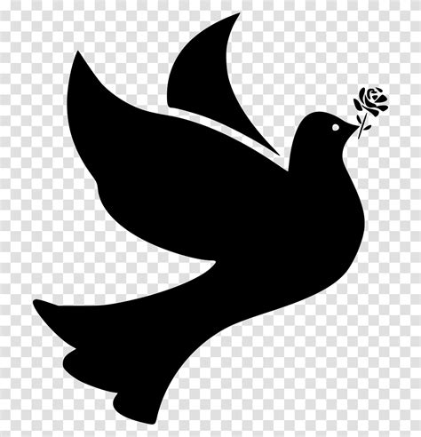 Bird Birds Dove Doves Flight Fly Flying Peace Rose Dove Silhouette