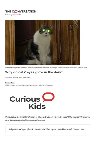 Why Do Cats Eyes Glow In The Dark Pdf