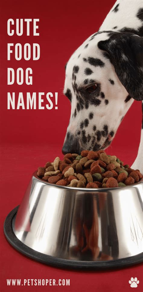 Cute Food Dog Names 87 Ideas With Video Petshoper