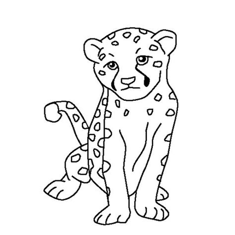 Cute Baby Cheetah Coloring Page Netart