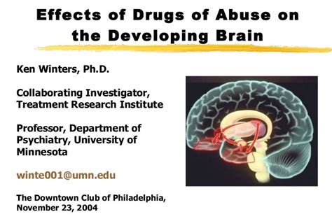 Effects Of Drugs On The Brain