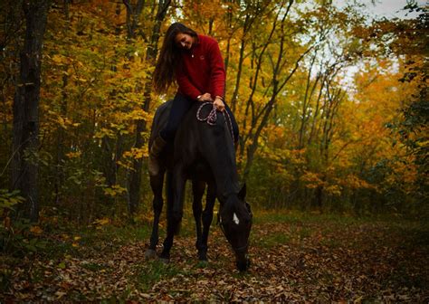 Autumn Equestrian Autumn Fall Season Horseback Riding Fall Show