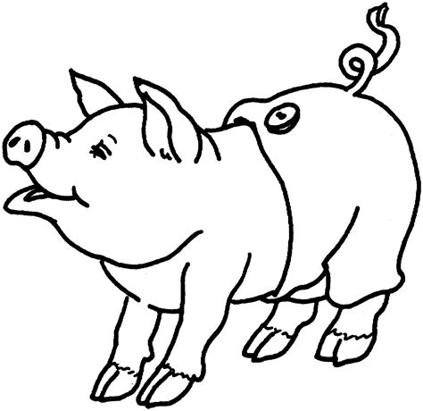 Search through 623,989 free printable colorings at getcolorings. Pig Coloring Pages - GetColoringPages.com