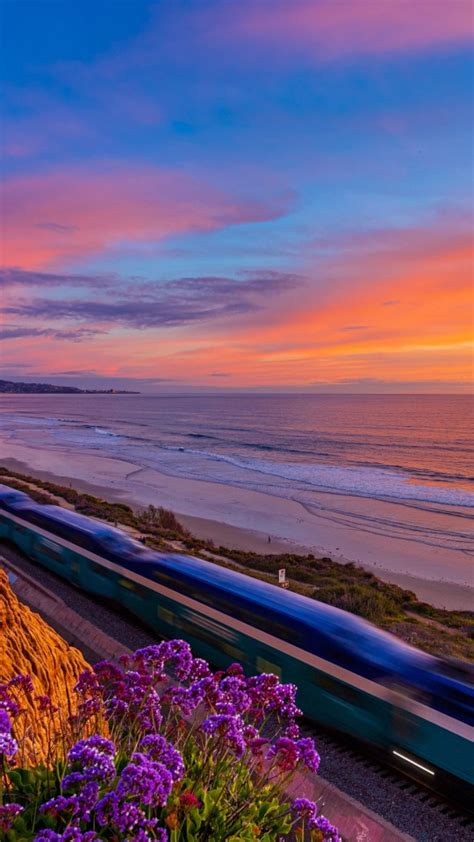 Train Between California Coast Pacific Ocean And Flowers During Sunset