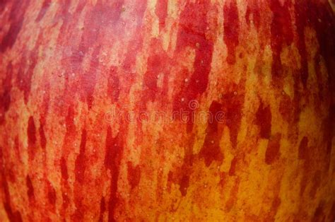 Red Apple Texture Stock Image Image Of Freshness Agriculture 104685639