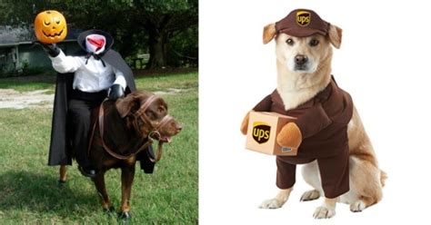 20 Costumi Geniali Per Un Halloween Da Cani Tribù Golosa